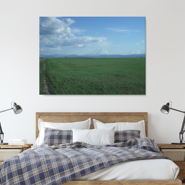 Mount Shasta Runaway Bride 3  Canvas Print (Insitu(Bedroom))