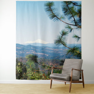 Mount Shasta through the trees...... Tapestry