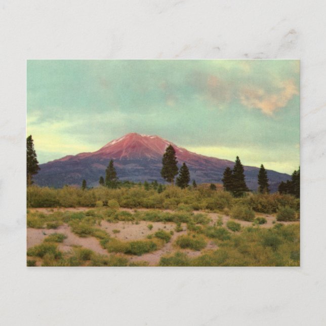 Mount Shasta Vintage Postcard (Front)
