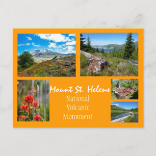 Mount St. Helens Collage Postcard