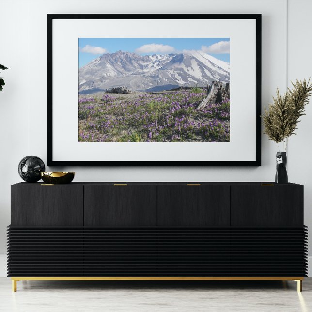 Mount St Helens Wildflowers Photo Print (In Situ Framed)