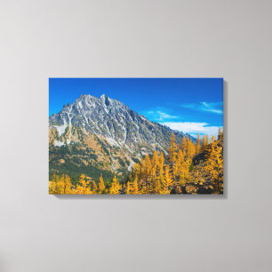 Mount Stuart & autumn larches Canvas Print