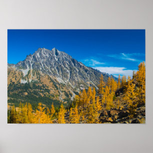 Mount Stuart & autumn larches Poster