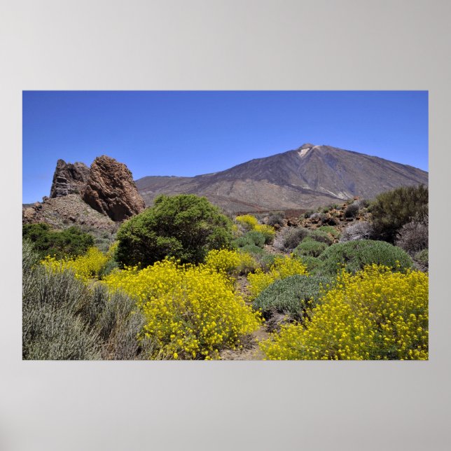 Mount Teide at Canary island Poster (Front)