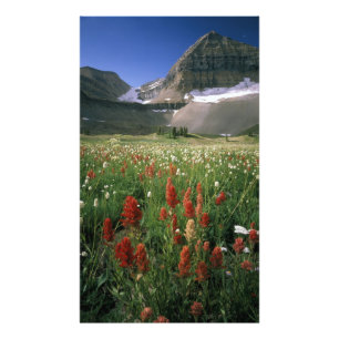 MOUNT TIMPANOGOS WILDERNESS, UT, US, PHOTO PRINT