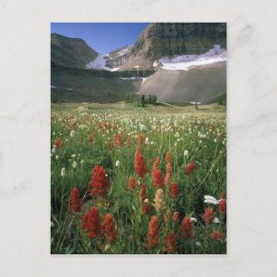 MOUNT TIMPANOGOS WILDERNESS, UT, US, POSTCARD