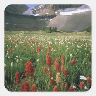 MOUNT TIMPANOGOS WILDERNESS, UT, US, SQUARE STICKER