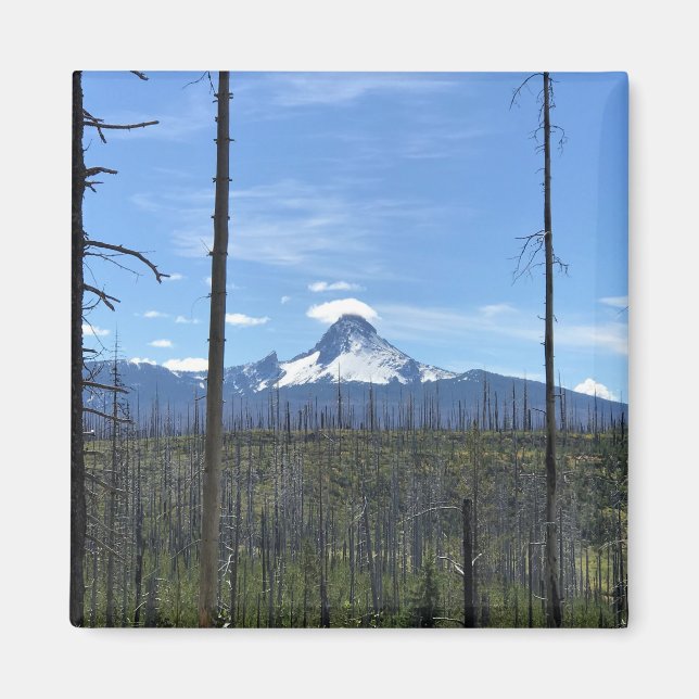 Mount Washington, OR Magnet (Front)
