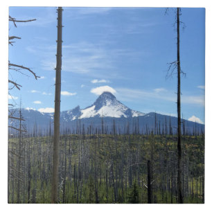 Mount Washington, OR Tile