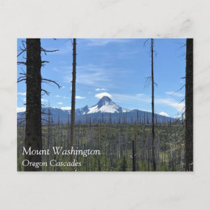 Mount Washington, Oregon Postcard