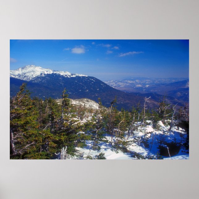 Mount Washington Winter Treeline View Poster (Front)
