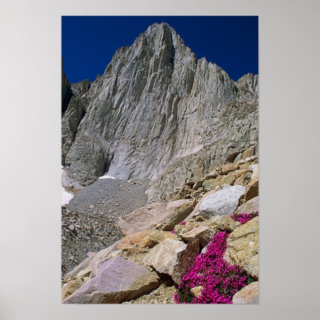 Mount Whitney And Wildflowers Poster (Front)