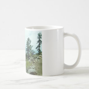 Mount Whitney Trail View #5 Mug - by Fern Savannah