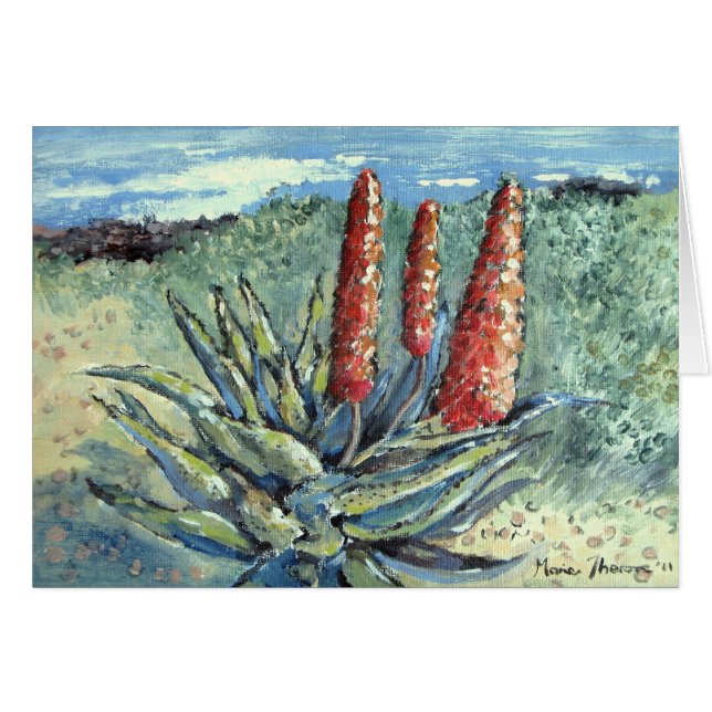 Mountain Aloe (Front Horizontal)