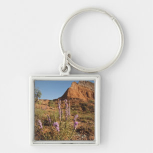 Mountain and Gayfeather Key Ring