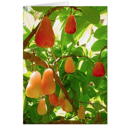 Mountain Apple Card