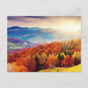 Mountain autumn forest landscape postcard