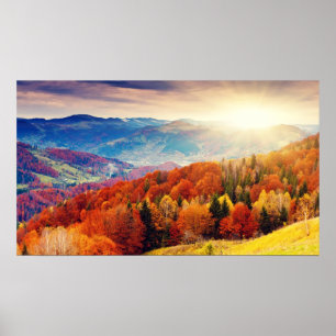 Mountain autumn forest landscape poster