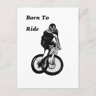 Mountain Biker MTB BMX CYCLIST Cyclo cross Postcard