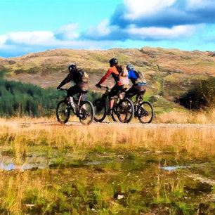 MOUNTAIN BIKING card