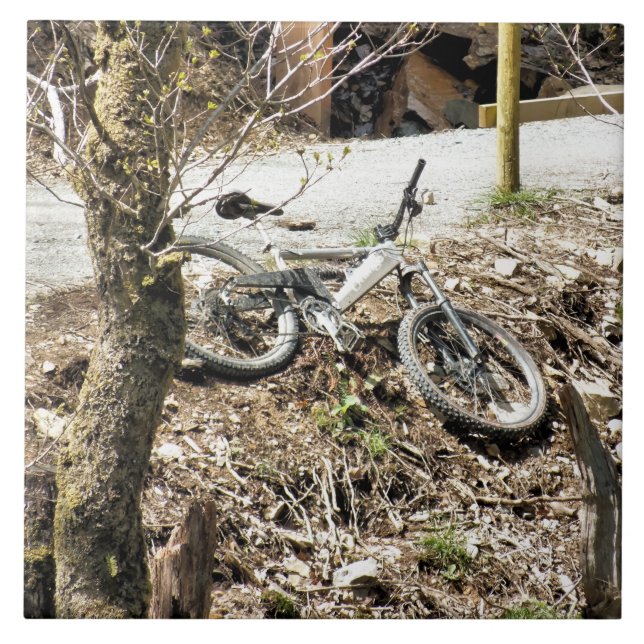 MOUNTAIN BIKING TILE (Front)