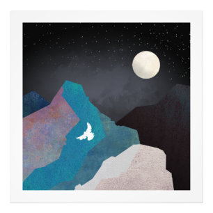 Mountain Bird Landscape Photo Print