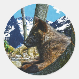 Mountain Black Wolf Resting by Trees Wildlife Art Classic Round Sticker