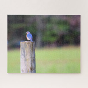 Mountain Blue Bird - 16x20 inch Jigsaw Puzzle