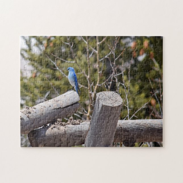 Mountain Bluebird - 11x14 - 252 pcs. Jigsaw Puzzle (Horizontal)
