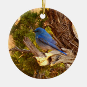 Mountain Bluebird at Arches National Park Ceramic Tree Decoration