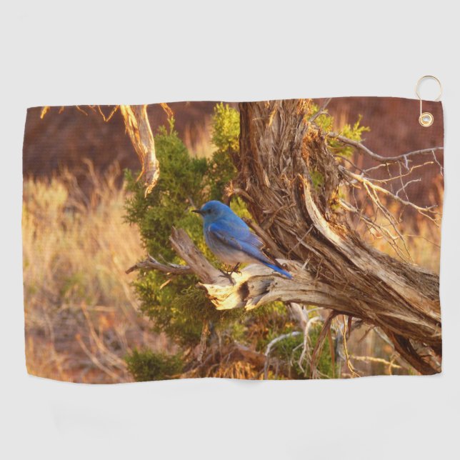 Mountain Bluebird at Arches National Park Golf Towel (Horizontal)