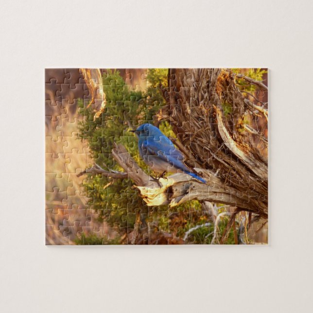 Mountain Bluebird at Arches National Park Jigsaw Puzzle (Horizontal)