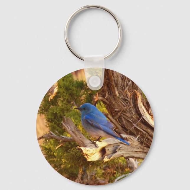 Mountain Bluebird at Arches National Park Key Ring (Front)