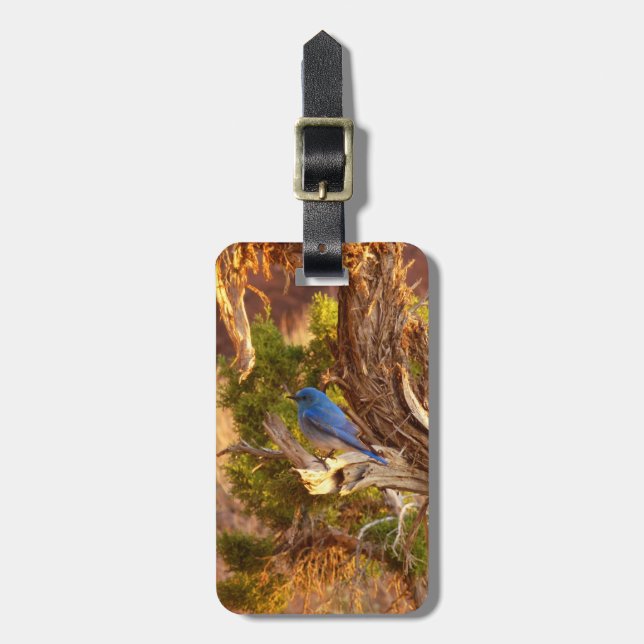 Mountain Bluebird at Arches National Park Luggage Tag (Front Vertical)