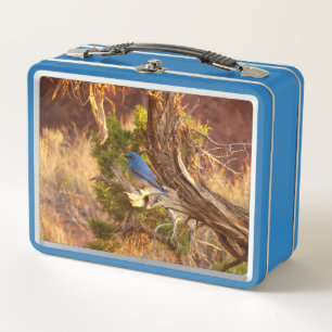 Mountain Bluebird at Arches National Park Metal Lunch Box