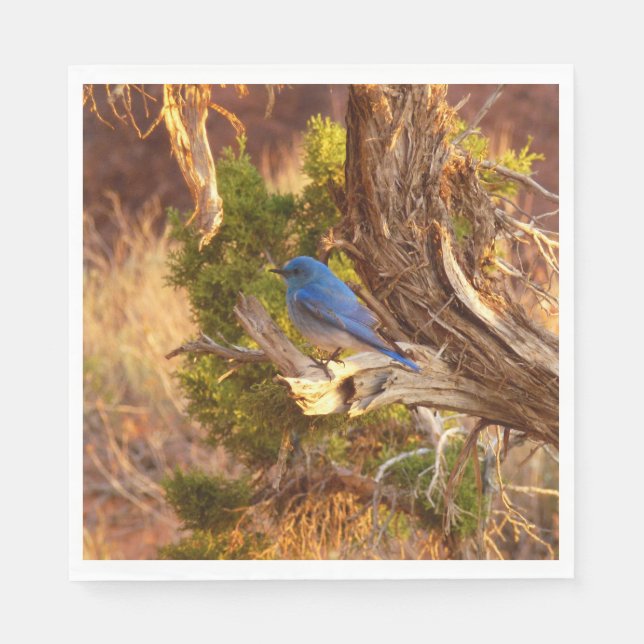 Mountain Bluebird at Arches National Park Napkin (Front)