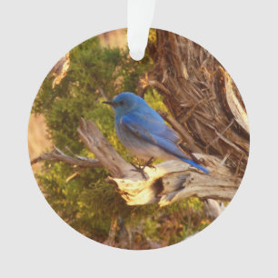 Mountain Bluebird at Arches National Park Ornament