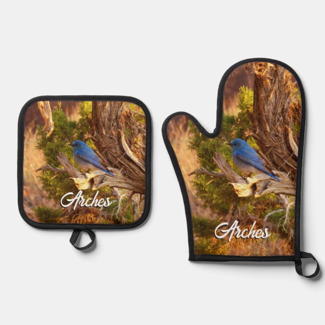 Mountain Bluebird at Arches National Park Oven Mitt & Pot Holder Set (Front)