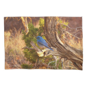 Mountain Bluebird at Arches National Park Pillowcase