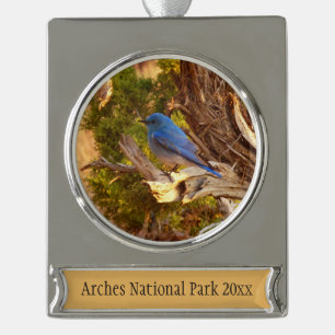 Mountain Bluebird at Arches National Park Silver Plated Banner Ornament