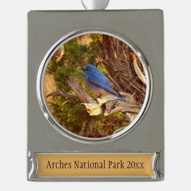 Mountain Bluebird at Arches National Park Silver Plated Banner Ornament (Front)