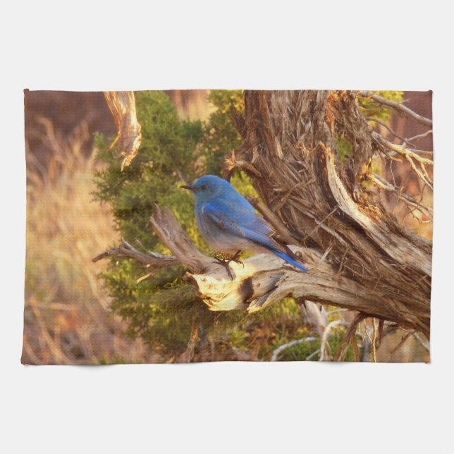 Mountain Bluebird at Arches National Park Tea Towel (Horizontal)