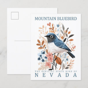 Mountain Bluebird Bird of Nevada USA Postcard