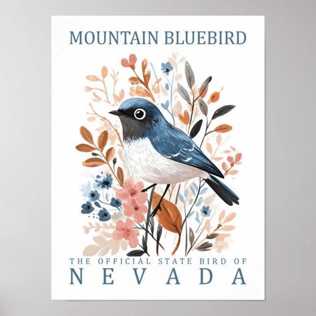 Mountain Bluebird Bird of Nevada USA Poster (Front)
