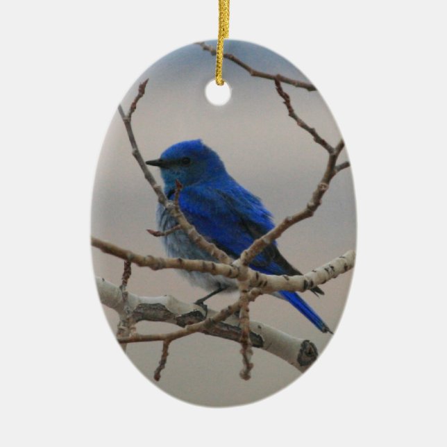 Mountain Bluebird Ceramic Tree Decoration (Front)