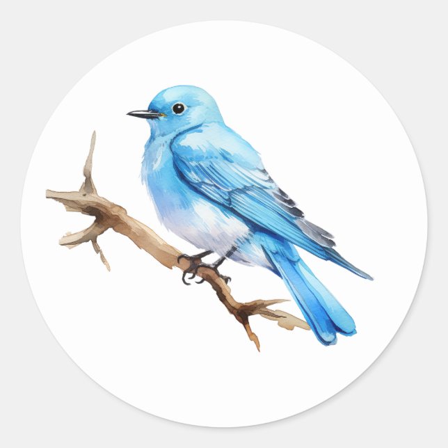 Mountain Bluebird Classic Round Sticker (Front)