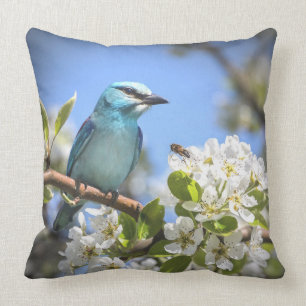Mountain Bluebird Cushion