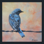 Mountain Bluebird Fine Art Print (Small)<br><div class="desc">Mountain bluebirds are quite common in the spring and summer seasons in the mountain regions of Colorado and Wyoming. The males are especially colorful, and the brilliant streak of bright blue is hard to miss as they dart about. This image is from an original oil painting by award winning Colorado...</div>