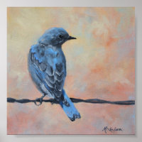 Mountain Bluebird Fine Art Print (Small)