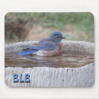 Mountain Bluebird in Bird Bath your Initials Mouse Mat